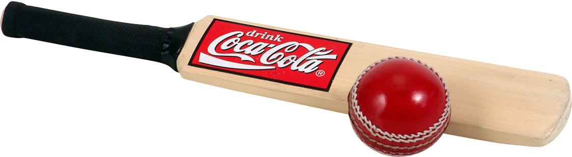 Cricket bat